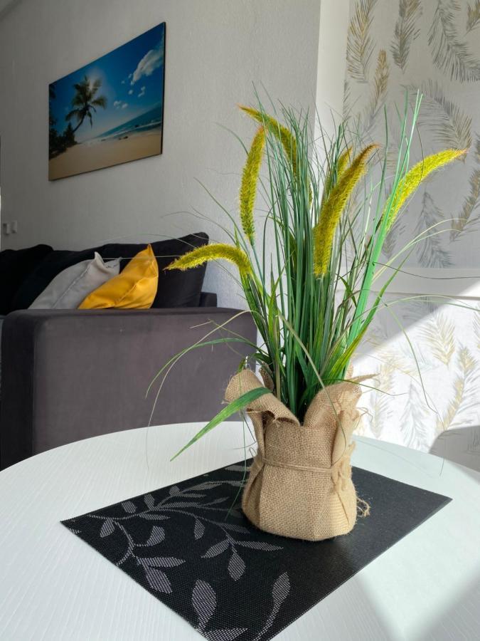 Sunshine Apartment Torrevieja Kültér fotó