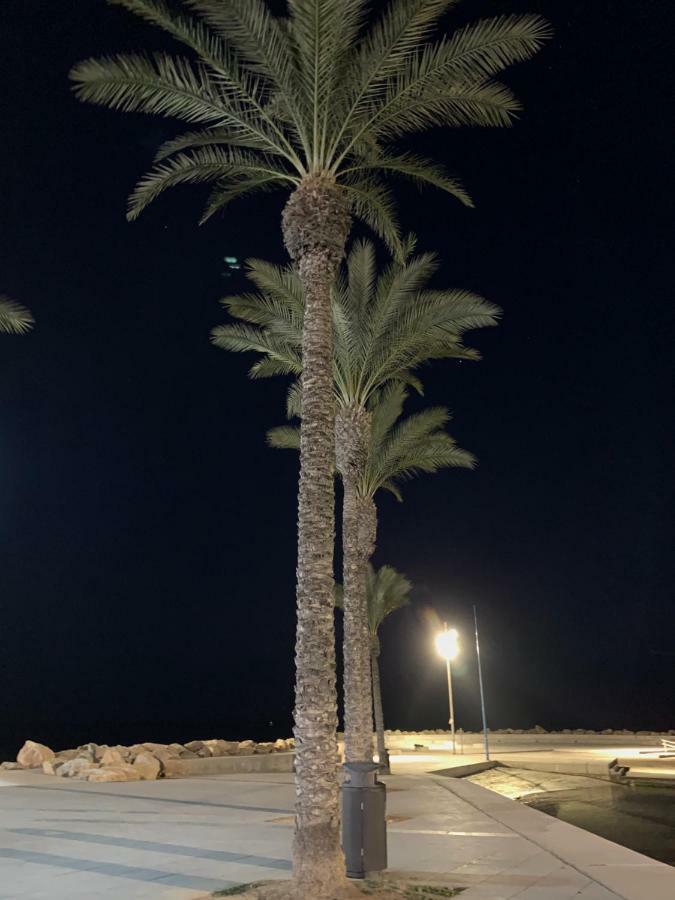Sunshine Apartment Torrevieja Kültér fotó